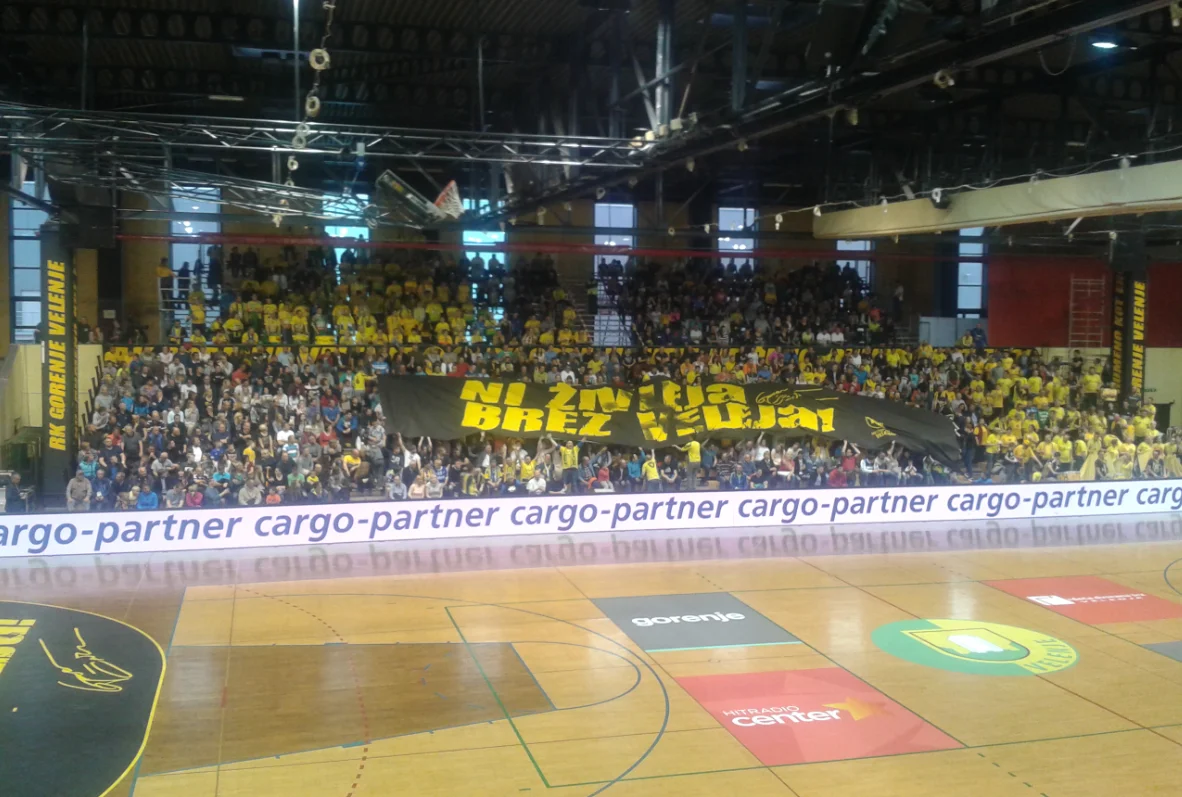 RK Gorenje Velenje: Electronic Ticket Verification